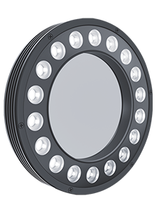 Polarized light source